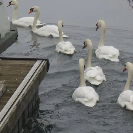 Ma Nuit Insolite Sur Un Bateau